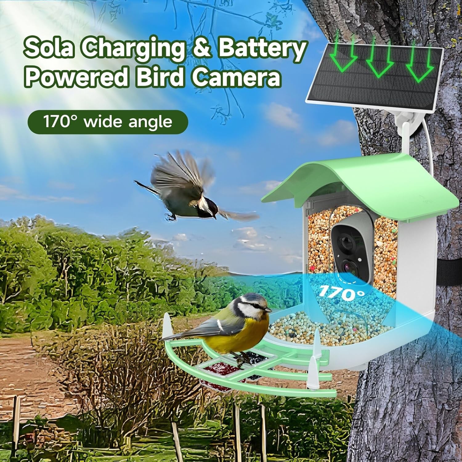Smart Bird Feeder with Camera Solar Powered,Ai Identify Species,2K HD Video Auto
