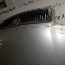 6Y0823031 Fronthaube SKODA FABIA (6Y) 1.4 (44Kw) Ber. 5p/b/1397cc