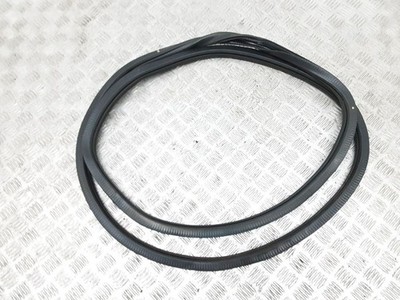 Chrysler Pacifica 2020 Vorne links Gummidichtung Tür vorne KUR82169