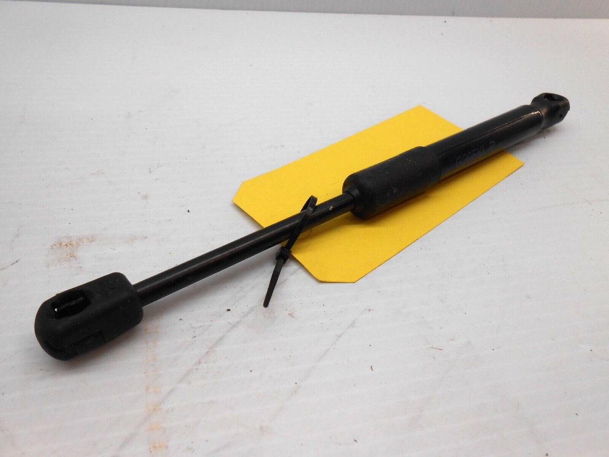 2021 BMW X3, G20, G28, 318I, Front Bonnet Hood Gas Strut