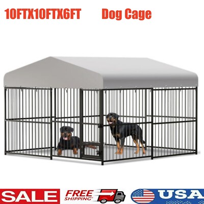10FTX10FTX6FT Heavy Duty Dog Cage with Roof Large Outdoor Dog Kennel Safety Lock