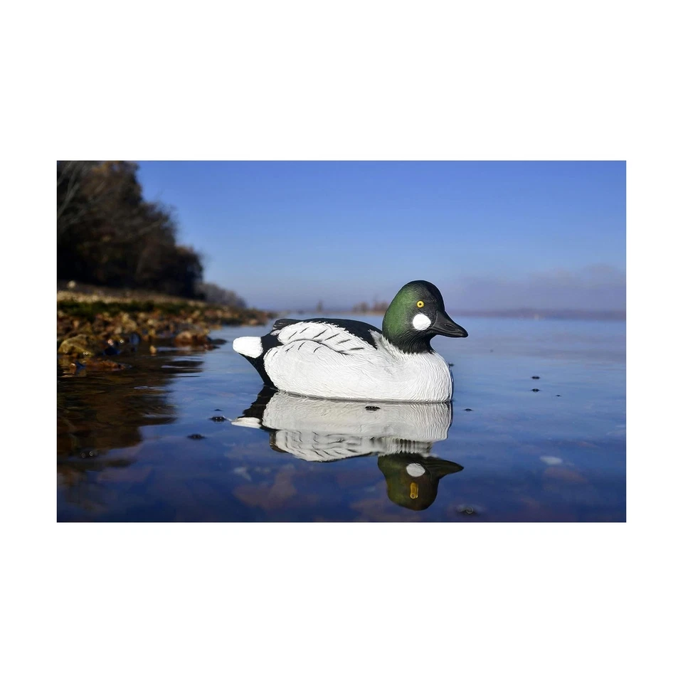 Higdon Outdoors Battleship Goldeneye Duck Decoys, All Drakes, Foam-Filled - Image 4 of 4