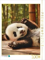 Calvendo Puzzle Kleine Pfoten, GroßE Wirkung | 1000 Teile Lege-GrößE 64 × 48 Cm