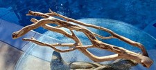 Set Of 2 Large Driftwood Manzanita Aquascape Aquarium Terariam