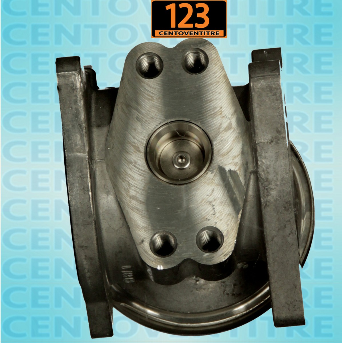 Valvola EGR (ricircolo Gas Di Scarico) – Ricambio OE/OES – Compatibile Con Varie Auto – EGR003