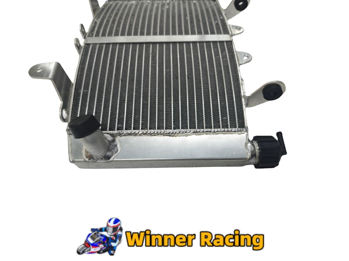 Griglia Radiatore In Alluminio Per KTM 890 Duke/R 2020-2022 | Protezione Da Sassi - Foto 2