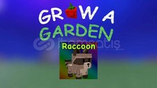 Raccoon - Grow a Garden Roblox  PETS  Cheap  Fast Delivery