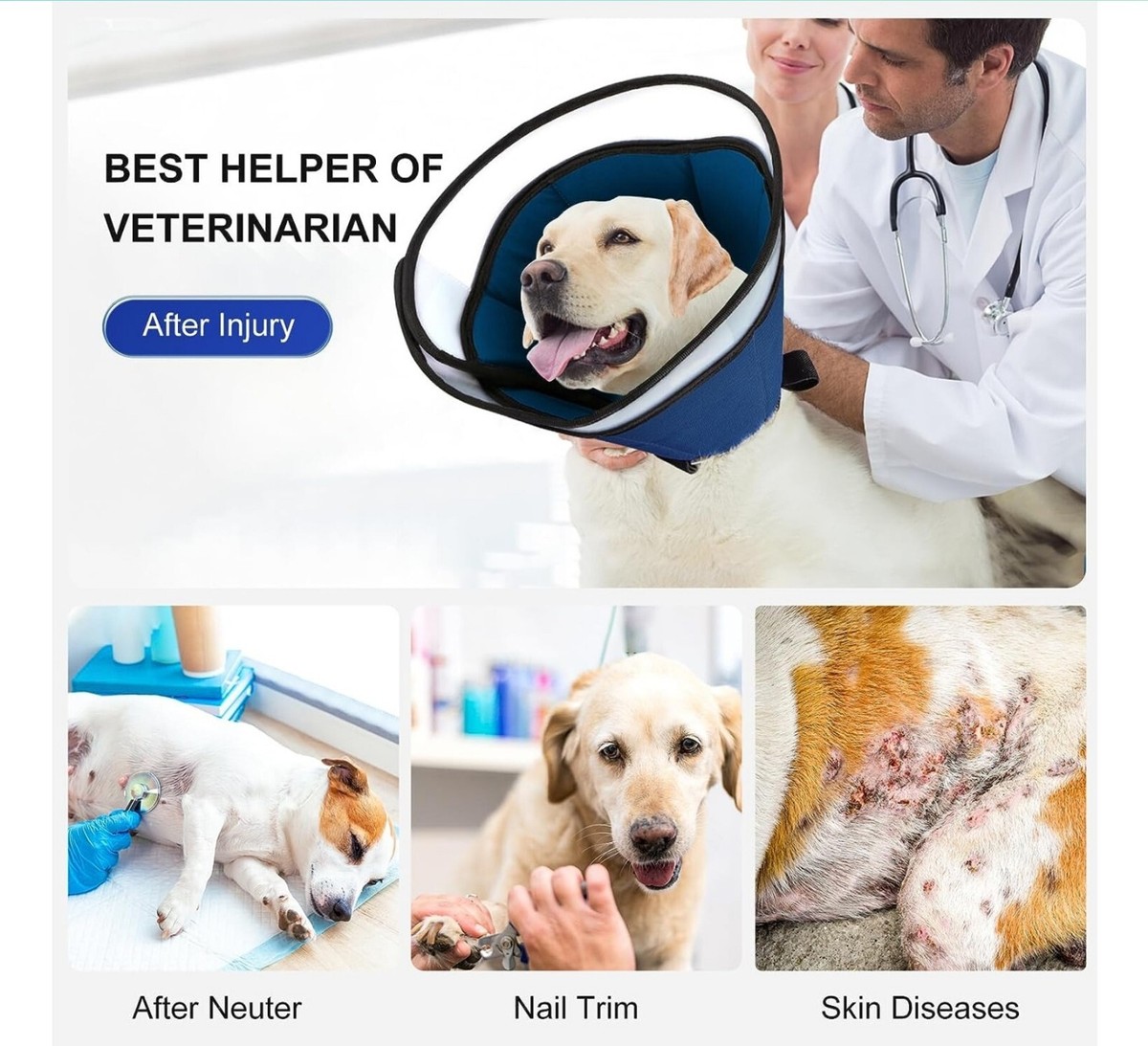 Dog Cone for Dogs After Surgery, Dog Cones for Large (Neck: 13-17