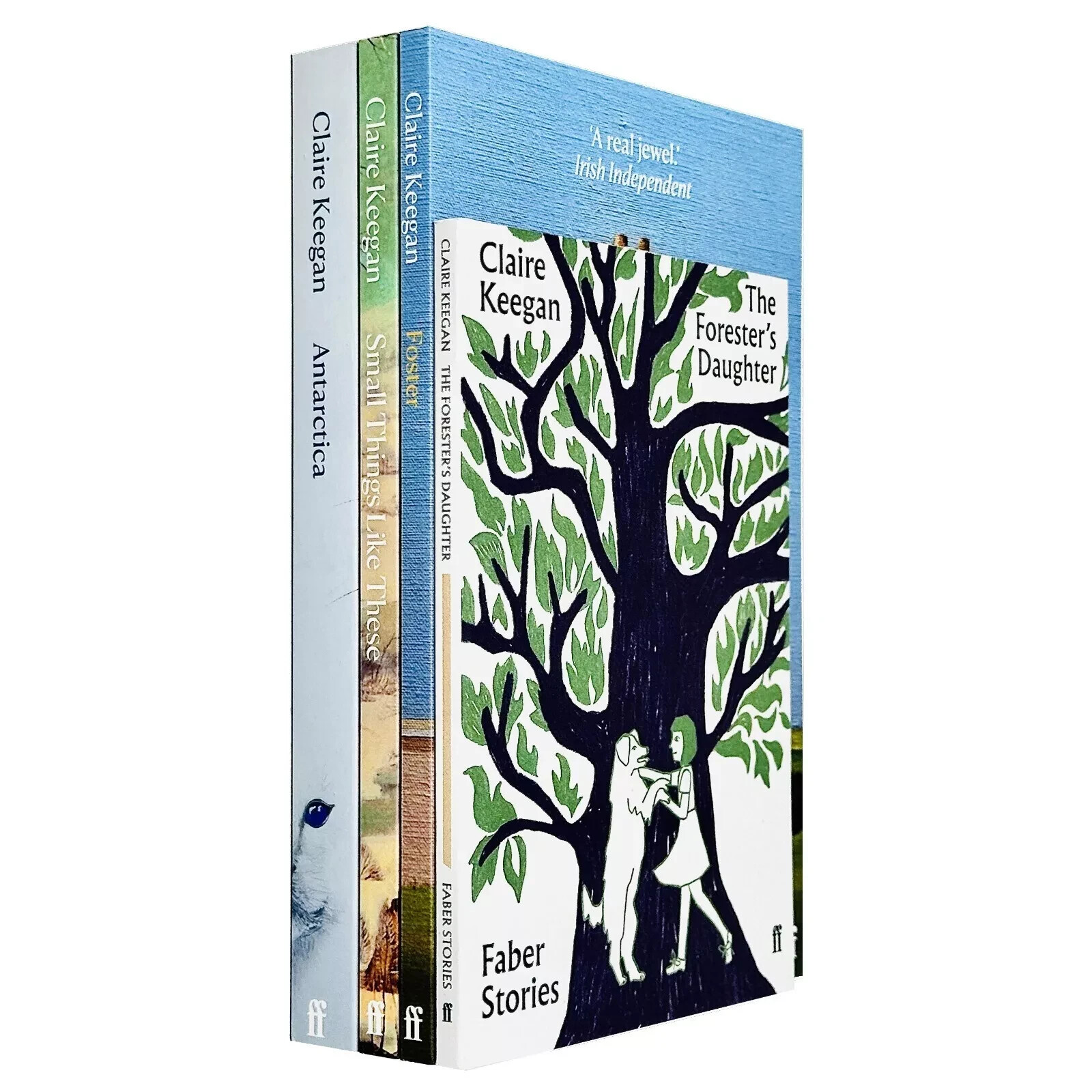 Claire Keegan Collection 4 Books Set Antarctica, Forester's Daughter, Small Thin