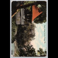 Antique Postcard Regent Spring Excelsior Springs MO Architecture
