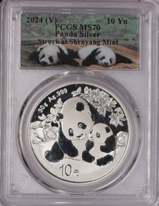 銀　2024 パンダ 2024 Silver Panda | eBay