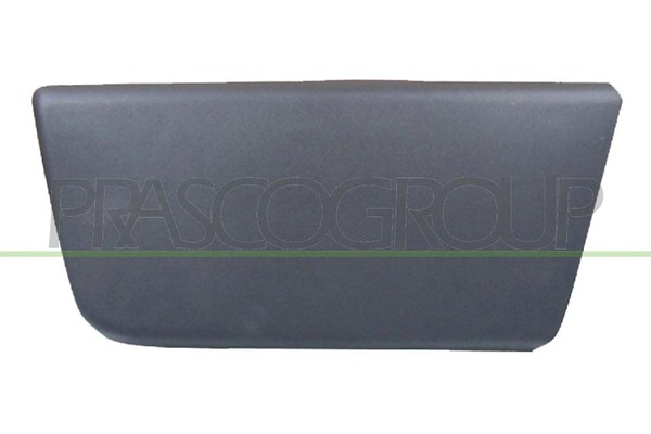 Prasco Zier-/Schutzleiste, TüR Links, Vorne U.A. FüR CitroËN, Fiat, Peugeot-image