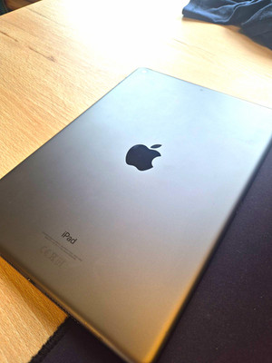 Apple iPad (9. Generation) 64 GB Grau 10,2 Zoll WLAN Tablet iPadOS