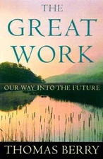 The Great Work: Our Way into the Future - Hardcover By Berry, Thomas - GOOD
