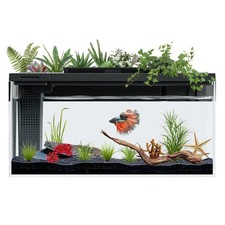 3.7 Gallon Betta Fish Tank self Cleaning,Smart Aquarium Aquarium kit with Filter