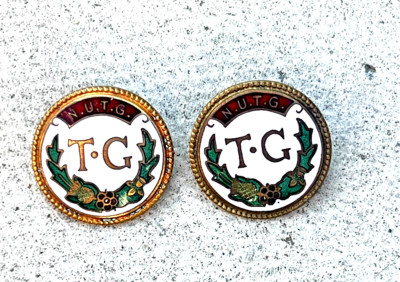 Two Vintage N.U.T.G National Union of Townswomen s Guild Brass and Enamel Badges