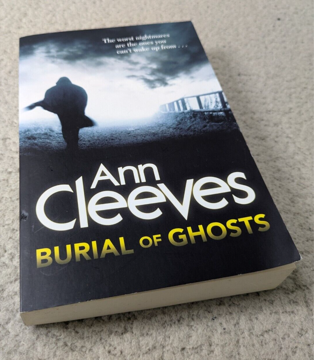 Burial of Ghosts by Ann Cleeves (Paperback, 2003) Crime / Thriller
