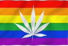 RAINBOW FLAG BANDANA LGBTQ GAY PRIDE  WHITE WEED POT PRINT HEADWRAP MASK SCARF