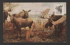 Canada 1953 Wildlife issue - Moose - FDC maximum card
