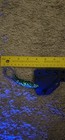 Masalong Glow In The Dark Karambit — photo 1