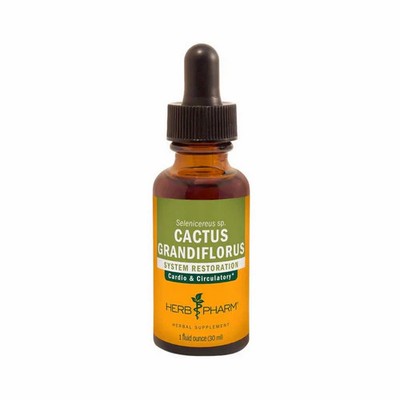 Cactus Grandiflorus 1 Oz  by Herb Pharm