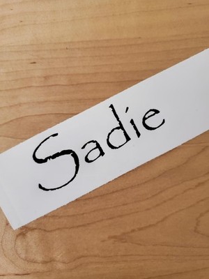 Sadie pet name Sticker Vinyl Decals 10'' (2) PAIR black- Dog Cat Pet Puppy FAST