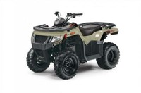 2022 Arctic Cat ALTERRA 300 Other
