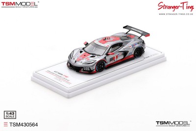 Chevrolet Corvette C8.R #3 2021 IMSA 12 Stunden Sebring Corvette Racing