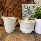 Creamer & Sugar Petite Fleurs By Kessington Japan 5858-KA Excellent Porcelain