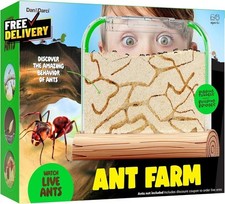 Ant Farm Kit for Kids Farms Colony Includes Ants Voucher Sand Habitat Kits