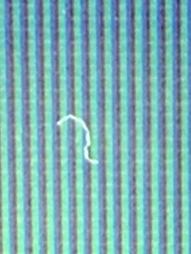 Recapped SEGA Game Gear In Box w/ Instructions & Game ￼