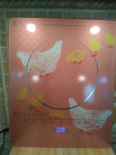 NEW Paula Deen 1500W LED Colored Glass Programmable Induction Cooker Hen Chicks - Picture 2 of 12