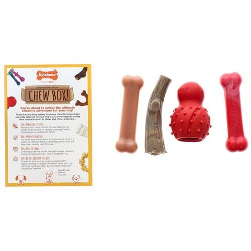 Nylabone Power Chew Toys Variety 4 Pack - Small/Regular (4 Count) Dog Canine
