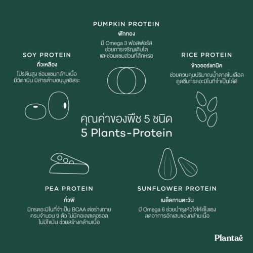 2X Plantae 5 Plant Protein Complete Vitamins Lean Fast Keto Low Carb Diet 800g - Picture 5 of 8