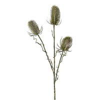 Artplants KüNstlicher Zweig Wilde Karde Bloven, GrüN, 60Cm