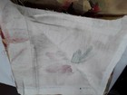 Bild 8 von 10