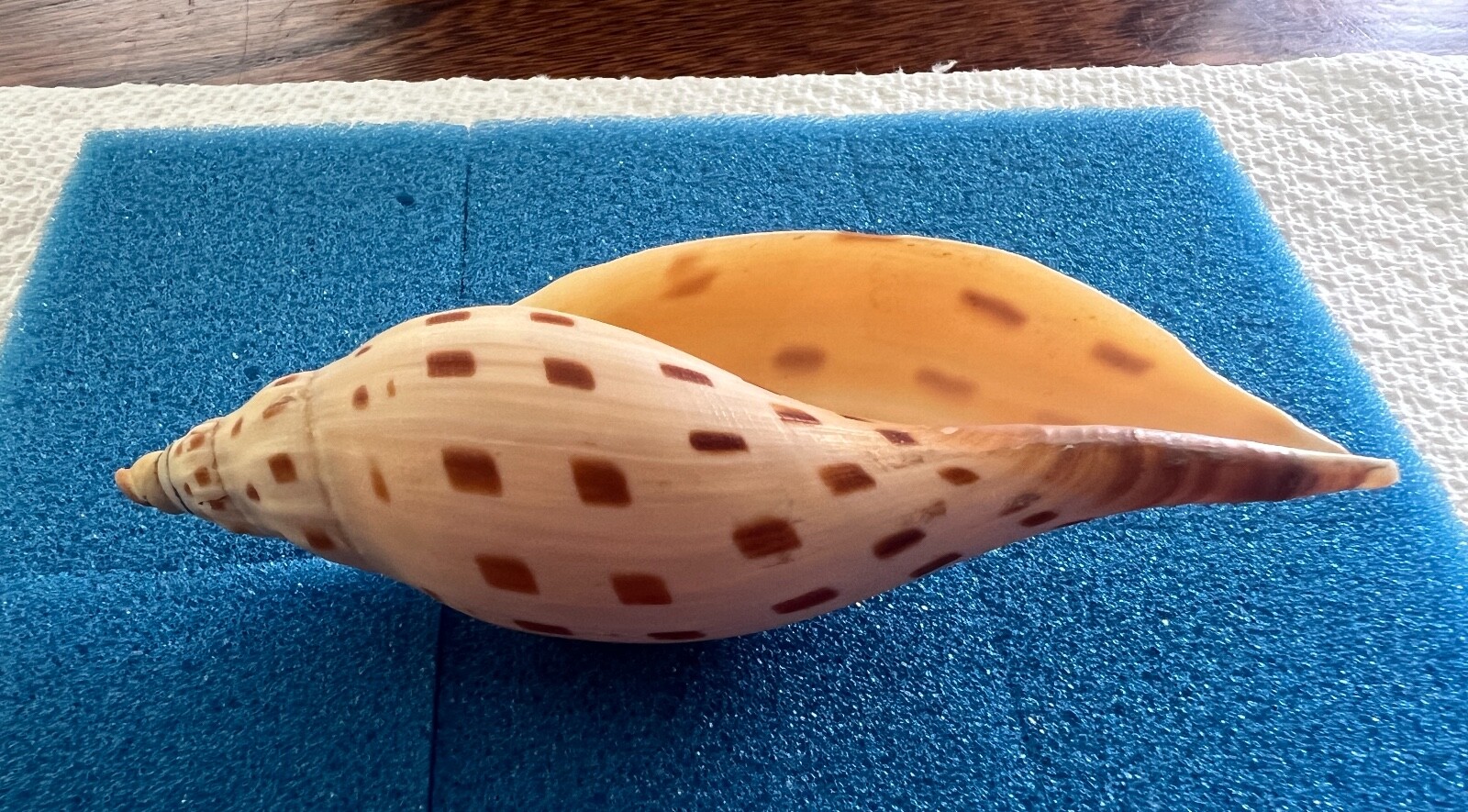 Picture 7 of 15