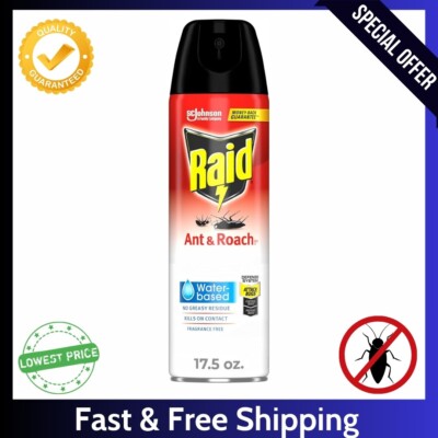 Raid Ant-Roach Aerosol Bug Spray, Water-Based Formula Insecticide With No Greasy