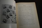 Picture 11 of 12