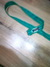 Polo Ralph Lauren Green Blue Striped 26 inch childrens Webbed Belt Silver Buckle