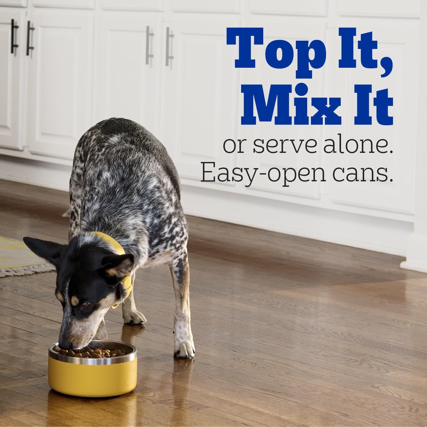 Pedigree Choice Cuts in Gravy Wet Dog Food Beef 22oz Cans Pack of 12