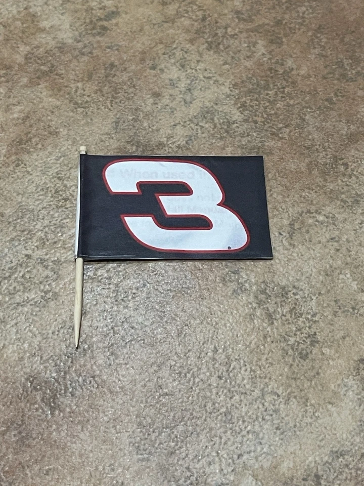 2007 Jeff Gordon 76th Phoenix Win Ties Earnhardt NASCAR Flag Display 1:24 NO CAR - Image 3 of 4