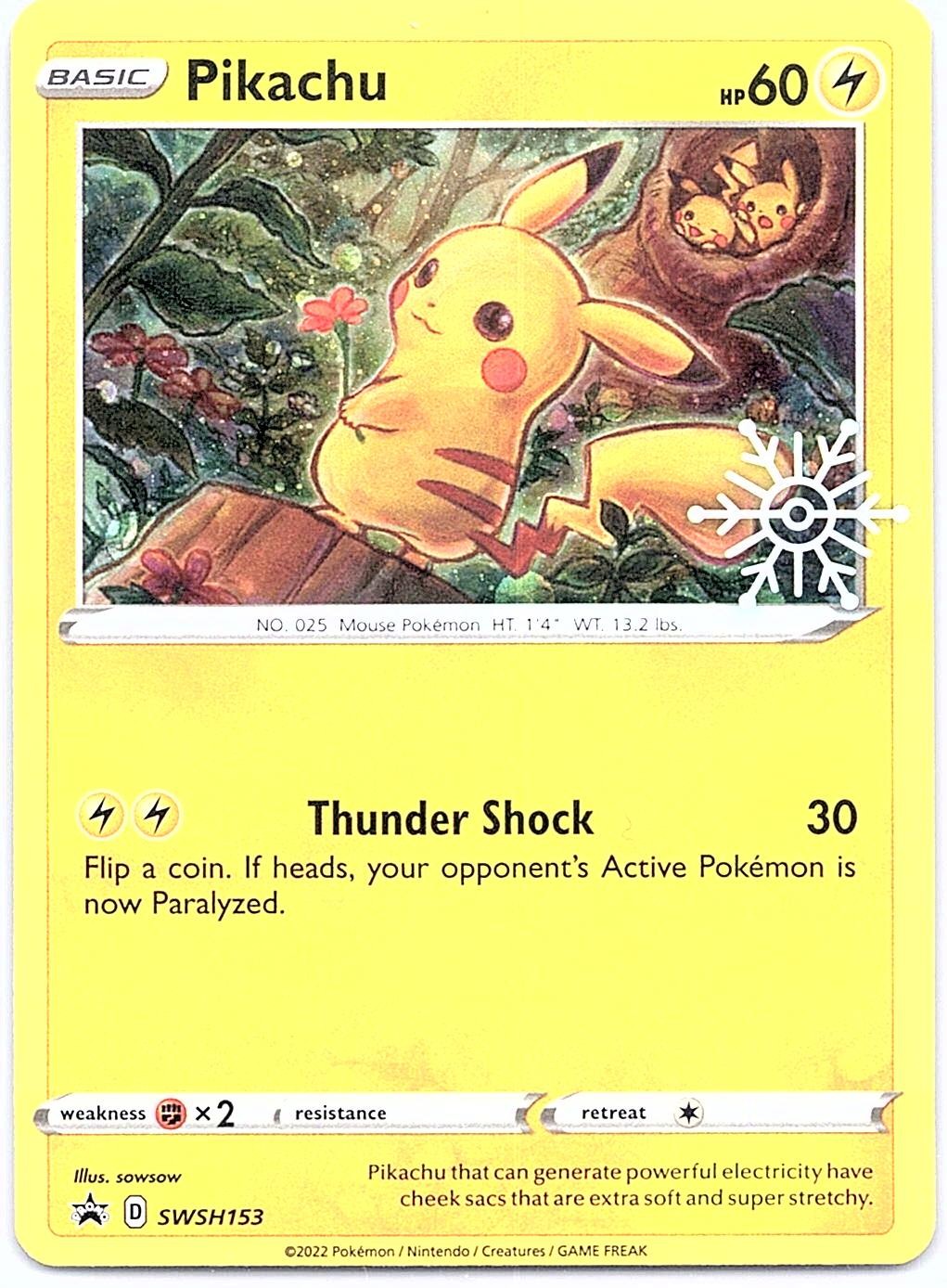 SWSH: Sword & Shield Promo Cards #SWSH153 Pikachu Holiday Promo,Holo
