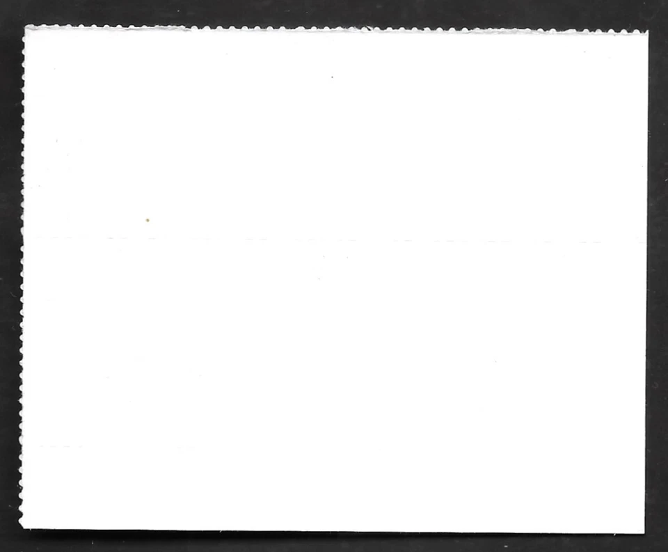 JOHN WOODEN UCLA COACH WIZARD OF WESTWOOD #5833 MXF US FOREVER STAMP PLATE BLOCK - Image 4 of 4