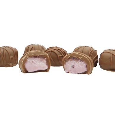 Philadelphia Candies Homemade Blueberry Creams, Milk Chocolate 1 Pound Gift Box