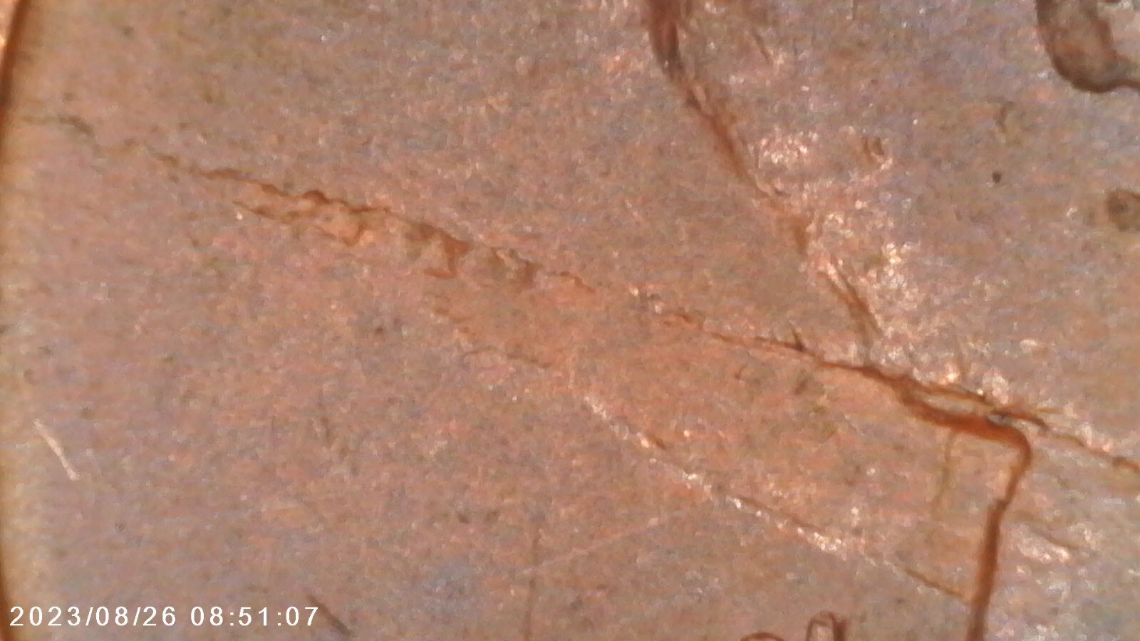 Picture 6 of 6