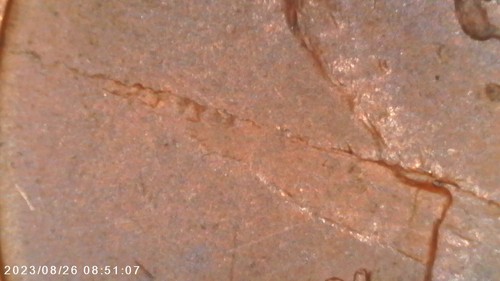 1926 P Lincoln Wheat Cent-Obverse Lamination Error - Picture 6 of 6