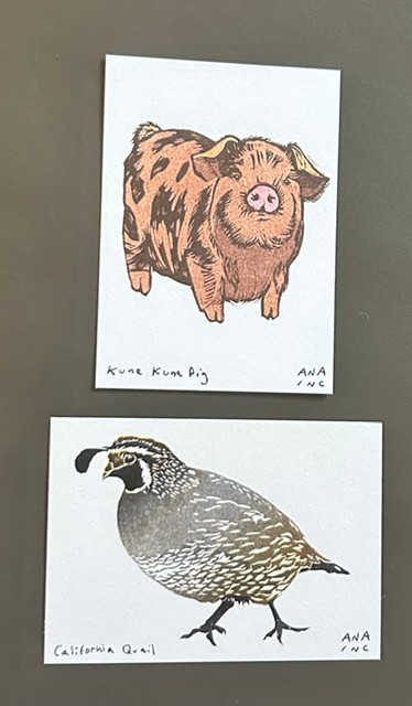 Set of 2 Anastasia Inciardi "Kune Kune Pig"  And "California Quail" Mini Print