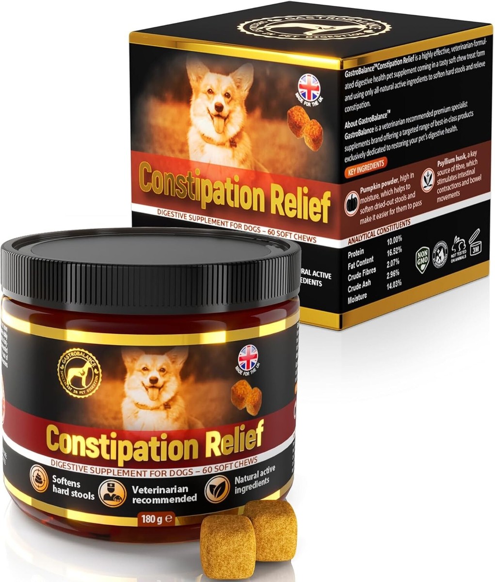 Remedies Foods That Make Dogs Constipated My Dog Is Constipated
