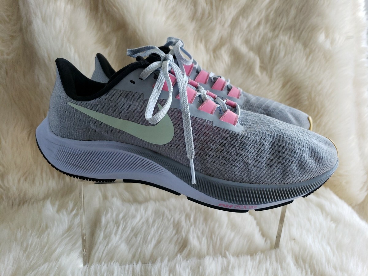 pegasus 37 obsidian mist